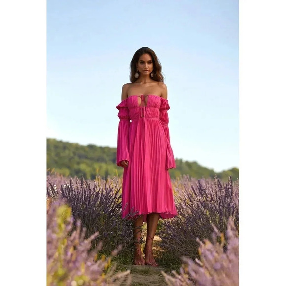 Alamour the Label Analu Dress . New with tags ! - Picture 5 of 16